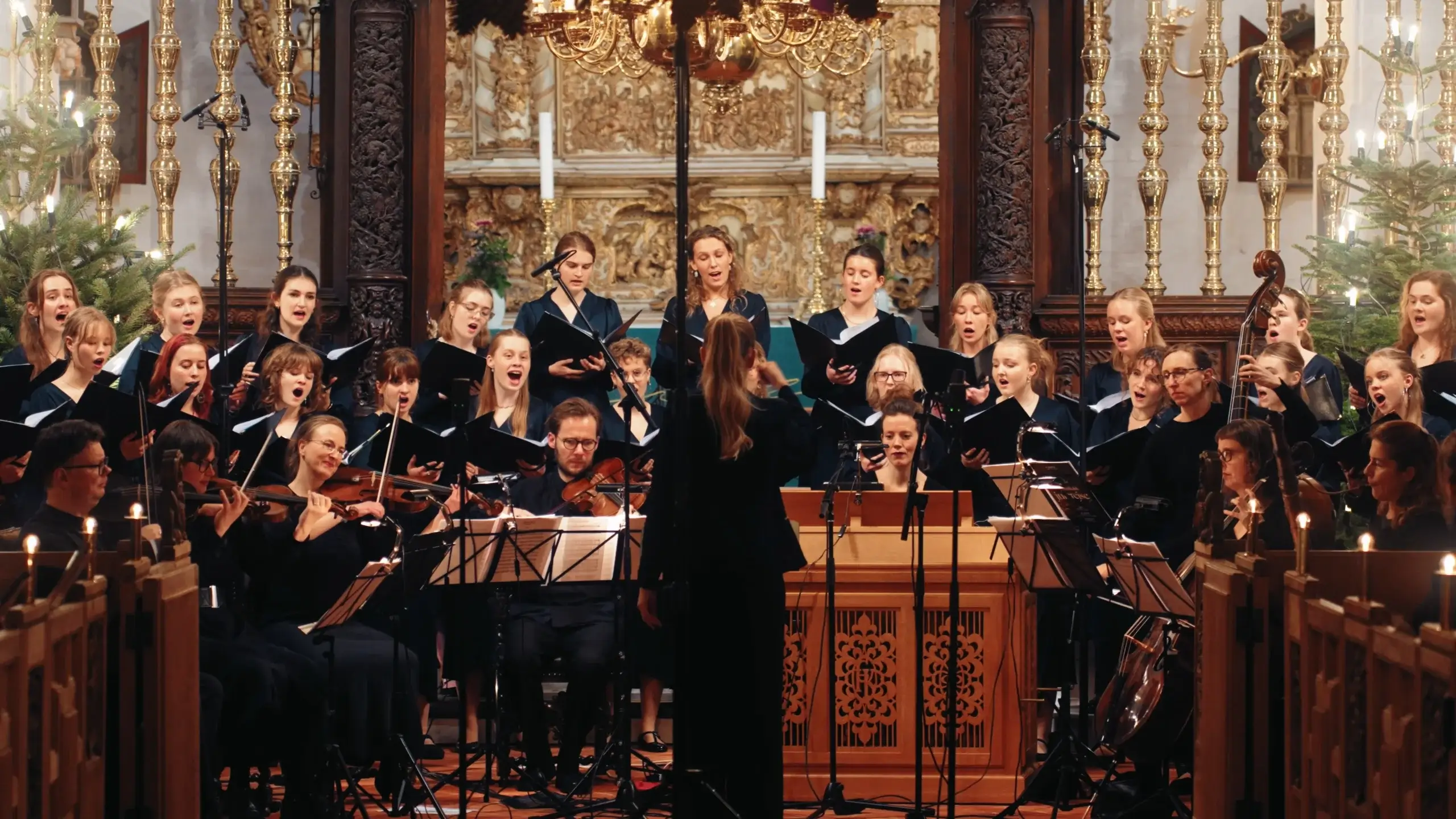 Concerto Copenhagen og kor under julekoncert i Sankt Olai Kirke i Helsingør.